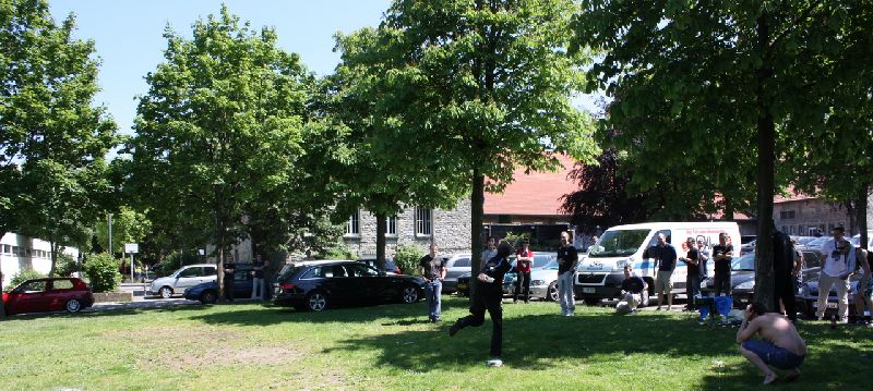 Bild