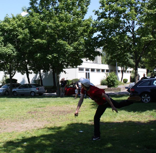 Bild