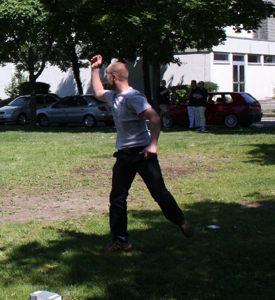 Bild