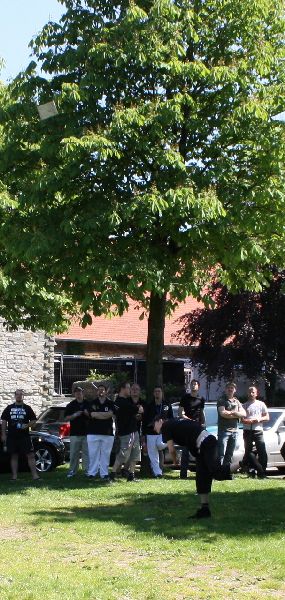 Bild