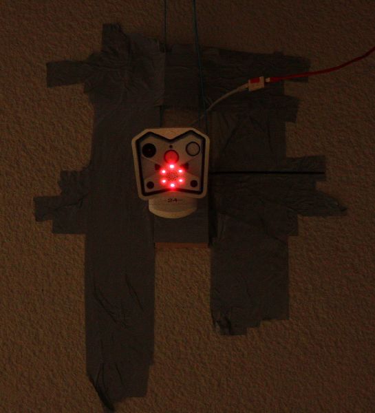 Bild