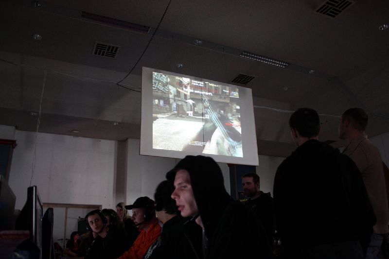 Bild