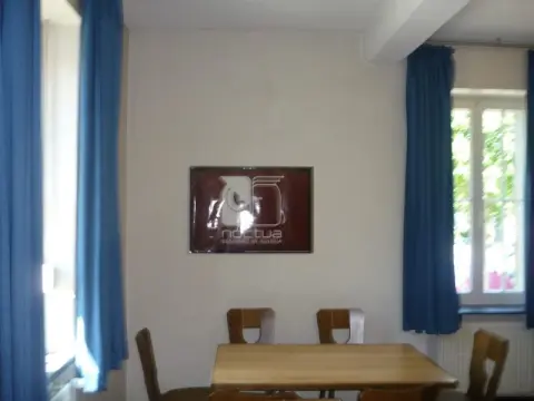 Galeriebild