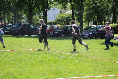 Galeriebild